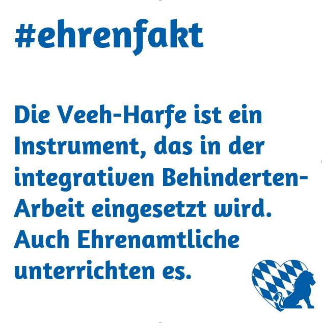 Die Veeh-Harfe ist ein Instrument, das in der integrativen Behindertenarbeit eingesetzt wird. Auch Ehrenamtlich unterrichten es. 