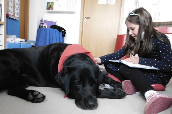 Ein Mädchen liest einem schwarzen Labrador vor