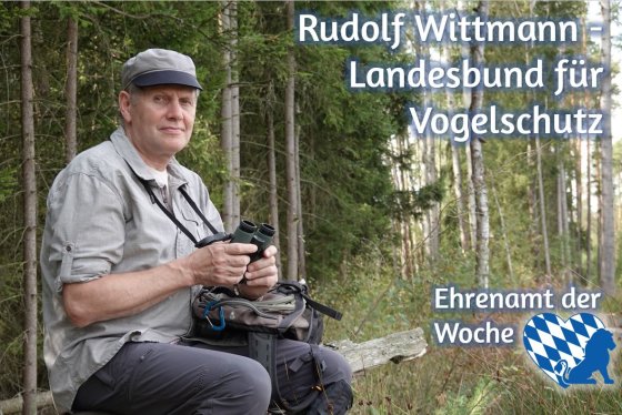 Rudolf Wittmann sitzt mit einem Fernglas auf einem Baumstumpf im Wald