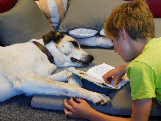 Ein junge liest einem weißen Hund vor